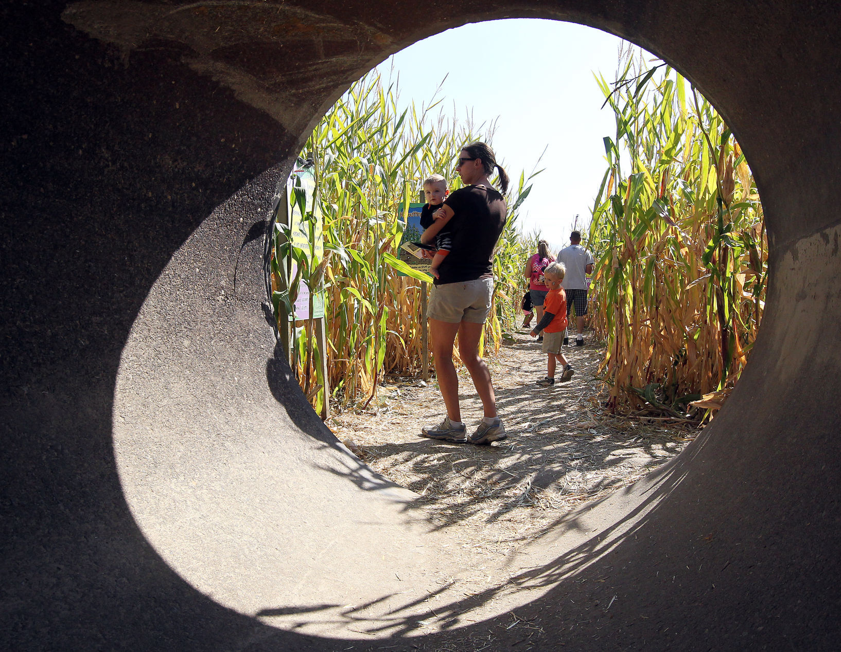 CornMaze.jpg